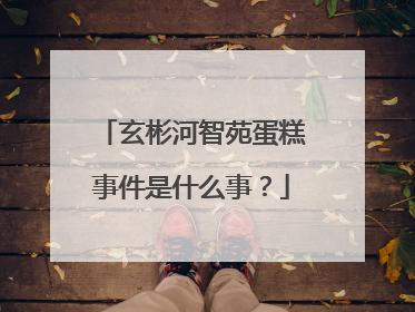 玄彬河智苑蛋糕事件是什么事?