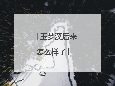 玉梦溪后来怎么样了