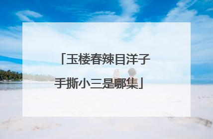 玉楼春辣目洋子手撕小三是哪集