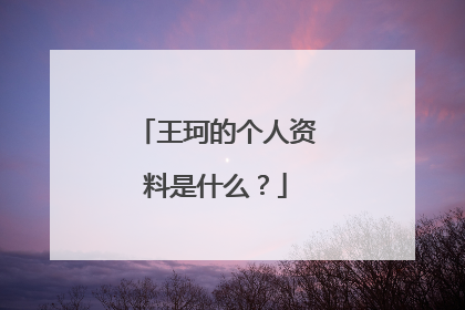 王珂的个人资料是什么?