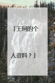 王珂的个人资料？
