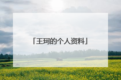 王珂的个人资料