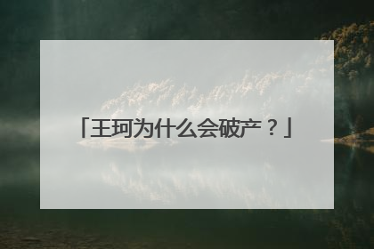 王珂为什么会破产?