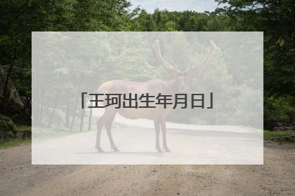 王珂出生年月日