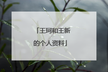 王珂和王新的个人资料