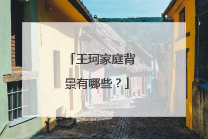 王珂家庭背景有哪些？