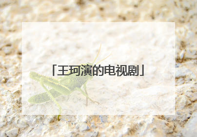 王珂演的电视剧