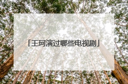 王珂演过哪些电视剧