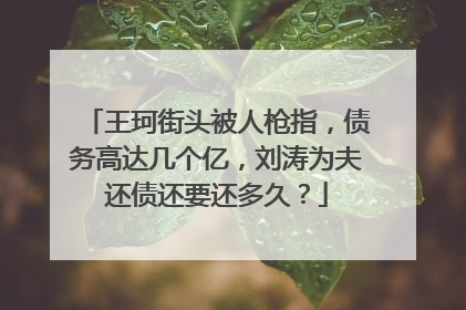 王珂街头被人枪指，债务高达几个亿，刘涛为夫还债还要还多久？