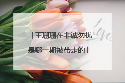 王珊珊在非诚勿扰是哪一期被带走的