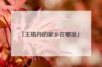 王珞丹的家乡在哪里