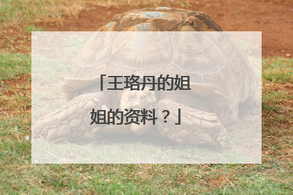 王珞丹的姐姐的资料?