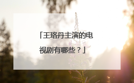 王珞丹主演的电视剧有哪些？