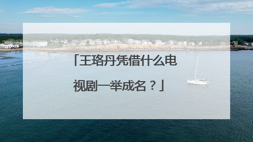 王珞丹凭借什么电视剧一举成名?