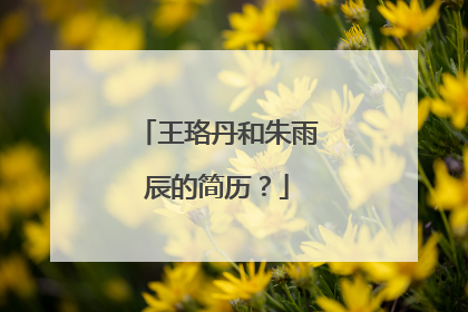 王珞丹和朱雨辰的简历？