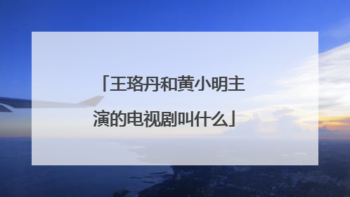 王珞丹和黄小明主演的电视剧叫什么