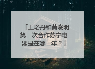 王珞丹和黄晓明第一次合作苏宁电器是在哪一年？