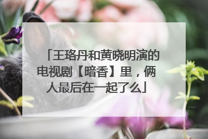 王珞丹和黄晓明演的电视剧【暗香】里，俩人最后在一起了么