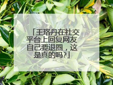 王珞丹在社交平台上回复网友自己要退圈，这是真的吗?