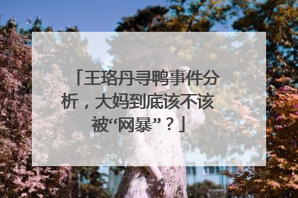 王珞丹寻鸭事件分析,大妈到底该不该被“网暴”?