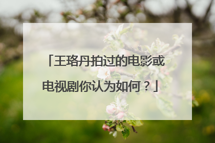 王珞丹拍过的电影或电视剧你认为如何?