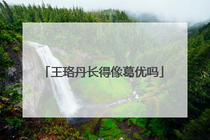 王珞丹长得像葛优吗