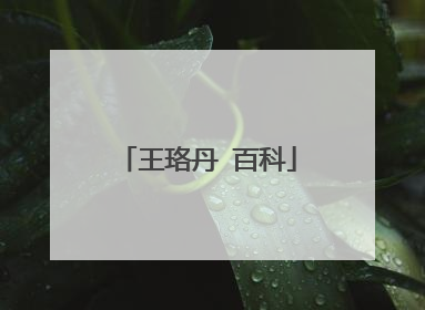 王珞丹 百科