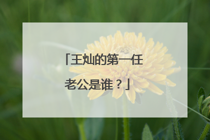 王灿的第一任老公是谁?