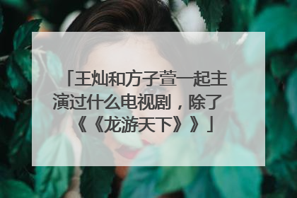 王灿和方子萱一起主演过什么电视剧,除了《《龙游天下》》