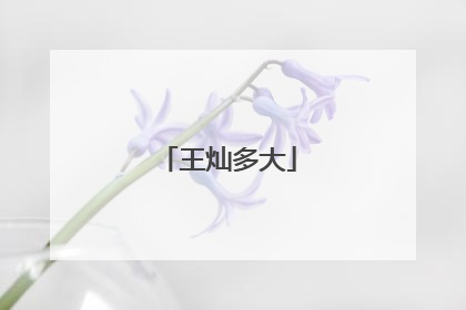 王灿多大