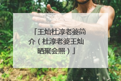 王灿杜淳老婆简介（杜淳老婆王灿晒聚会照）