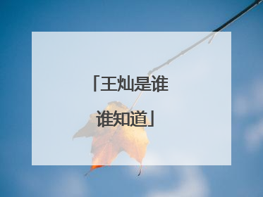 王灿是谁 谁知道