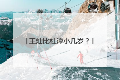 王灿比杜淳小几岁？