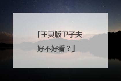 王灵版卫子夫好不好看？