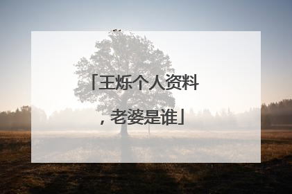 王烁个人资料，老婆是谁