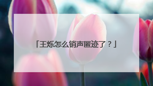 王烁怎么销声匿迹了？