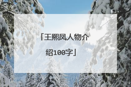 王熙凤人物介绍100字