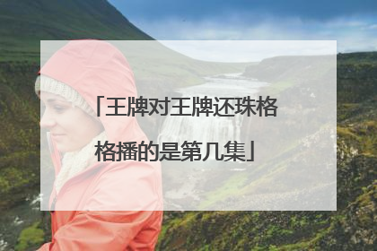 王牌对王牌还珠格格播的是第几集