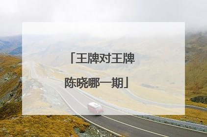 王牌对王牌陈晓哪一期