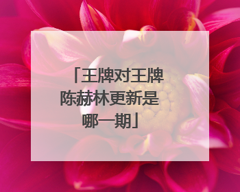王牌对王牌陈赫林更新是哪一期