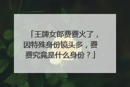 王牌女郎费费火了，因特殊身份镜头多，费费究竟是什么身份？