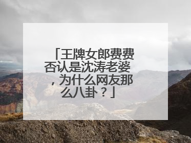 王牌女郎费费否认是沈涛老婆，为什么网友那么八卦？