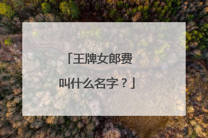 王牌女郎费 叫什么名字？