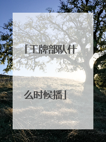 王牌部队什么时候播