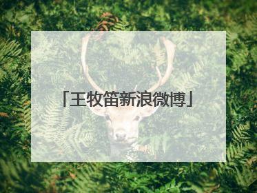 王牧笛新浪微博