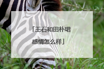 王石和田朴珺感情怎么样