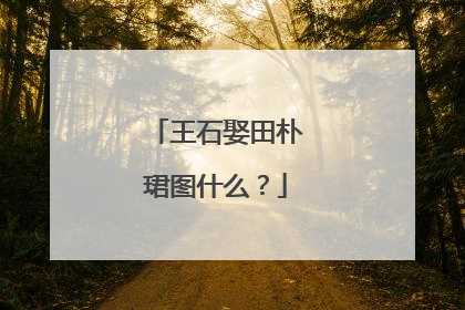 王石娶田朴珺图什么？