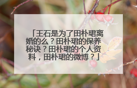 王石是为了田朴珺离婚的么？田朴珺的保养秘诀？田朴珺的个人资料，田朴珺的微博？