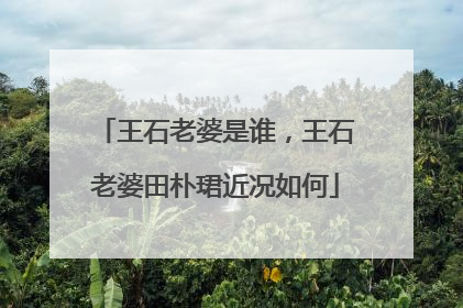 王石老婆是谁，王石老婆田朴珺近况如何