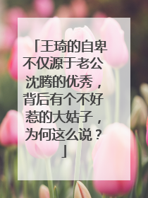 王琦的自卑不仅源于老公沈腾的优秀，背后有个不好惹的大姑子，为何这么说？